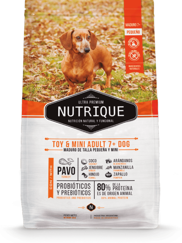 Nutrique Toy Mini Adult 7+