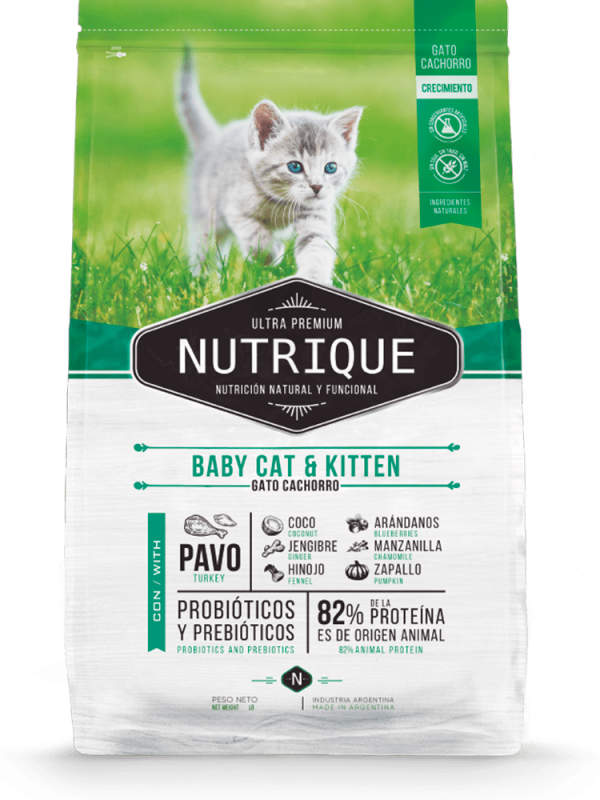 Nutrique Baby Cat and Kitten