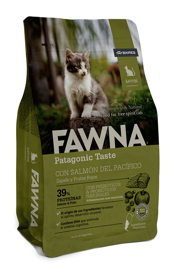 Fawna kitten