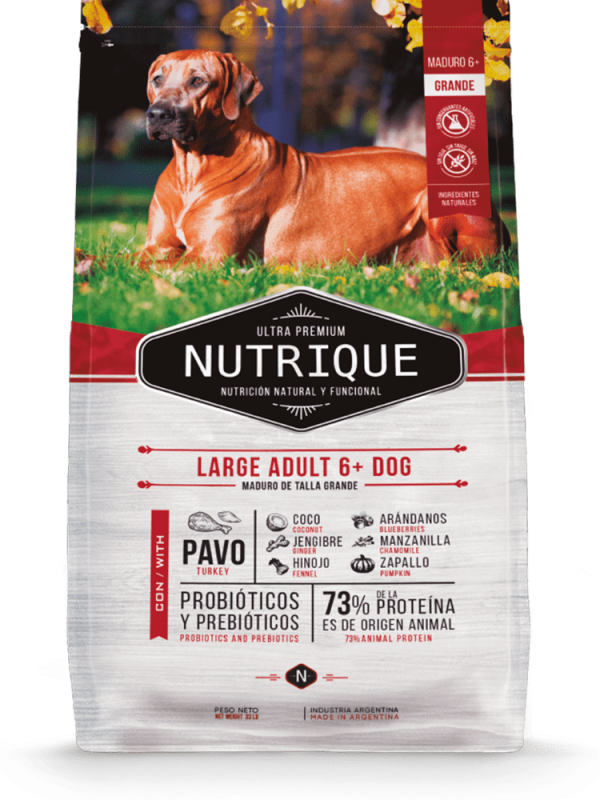 Nutrique Large Adult +6