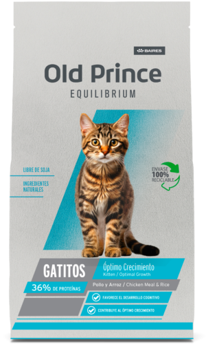 Old Prince Equilibrium Kitten