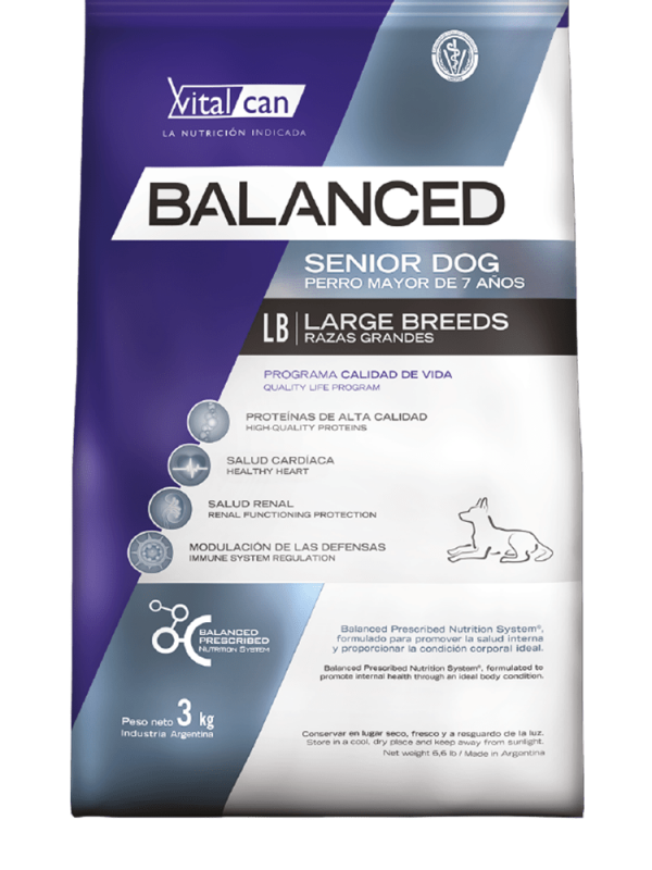 Vital Can Balanced Senior Large