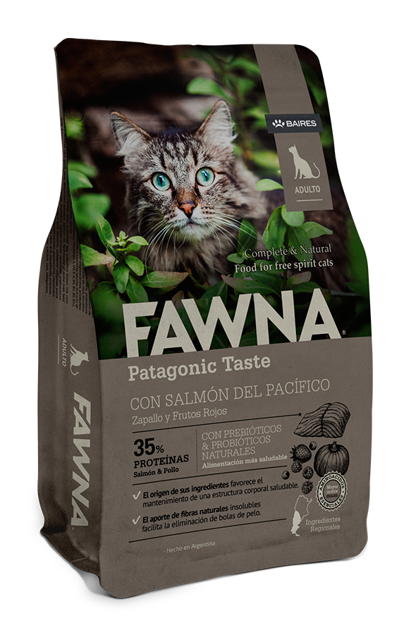 Fawna Adult Cat