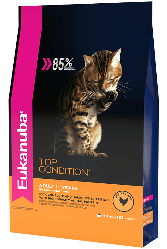 Eukanuba Gato Adulto